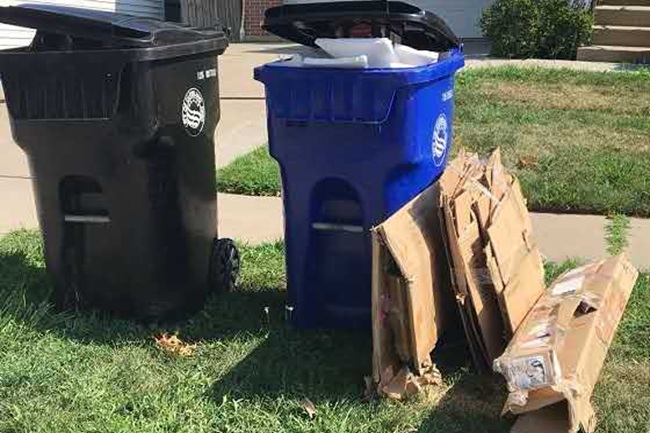 Basura de Seattle