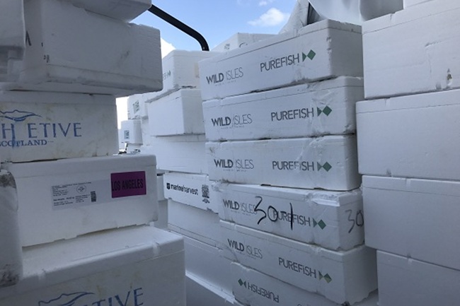 cajas de unicel usadas para pescado