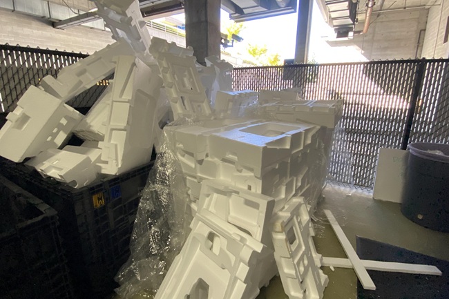 Reciclaje de Unicel: de Residuo a Recurso en una Cadena de Valor Renovada