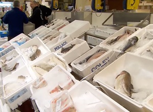 Cajas de poliestireno húmedas tras transportar mariscos y flores: ¿cómo reciclarlas sin acumulación?