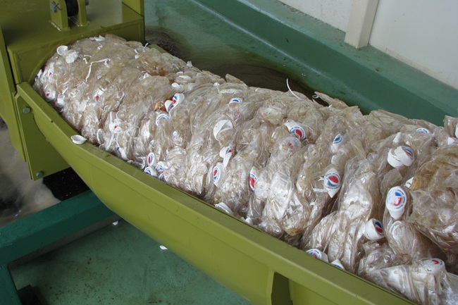 Desenvase y separación automatizados: la solución del reciclador bajo la REP
